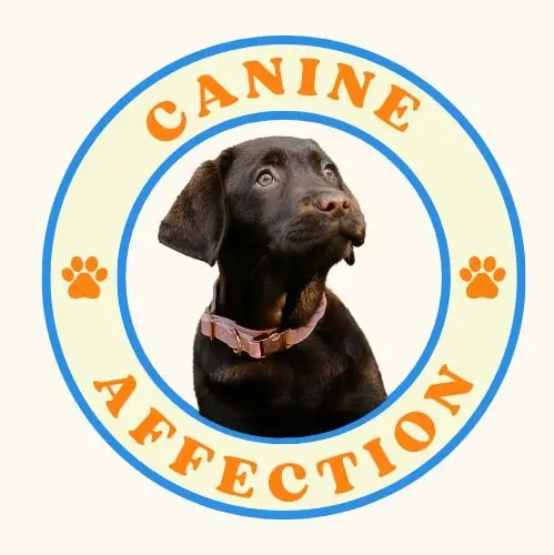 Canine Affection